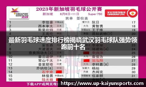 开云官方网站
